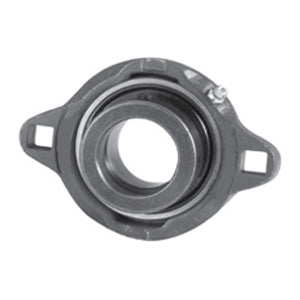 FXRW212E Flange Block Bearings