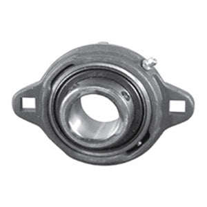 FXUG2E20N Flange Block Bearings