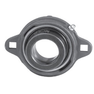 FXYG2E20NL1 Flange Block Bearings