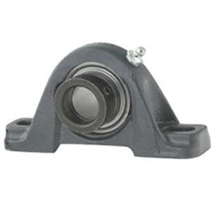 AELP205-100F1D1 Pillow Block Bearings