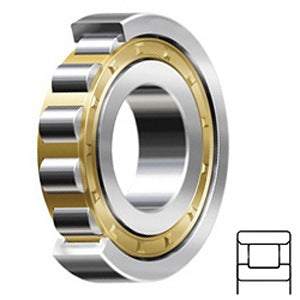 N221MC3 Cylindrical Roller Bearings