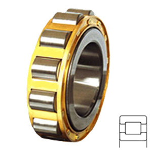 MUB1934J Cylindrical Roller Bearings