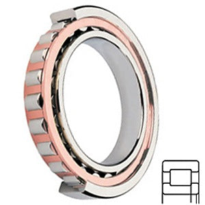 NUP2203-E-TVP2 Cylindrical Roller Bearings