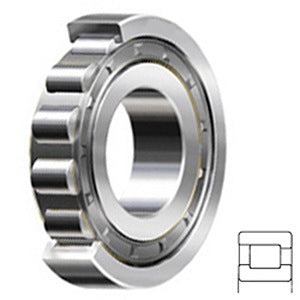 NF205W Cylindrical Roller Bearings