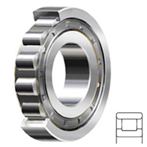 N317WC3 Cylindrical Roller Bearings