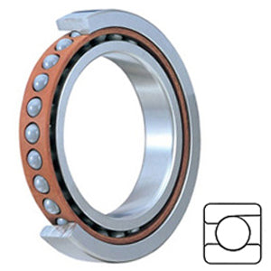 7000CG/GNP4 Miniature Precision Ball Bearings