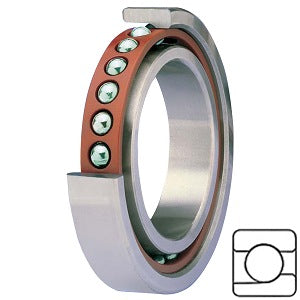 BNT010/GNP2 Precision Ball Bearings